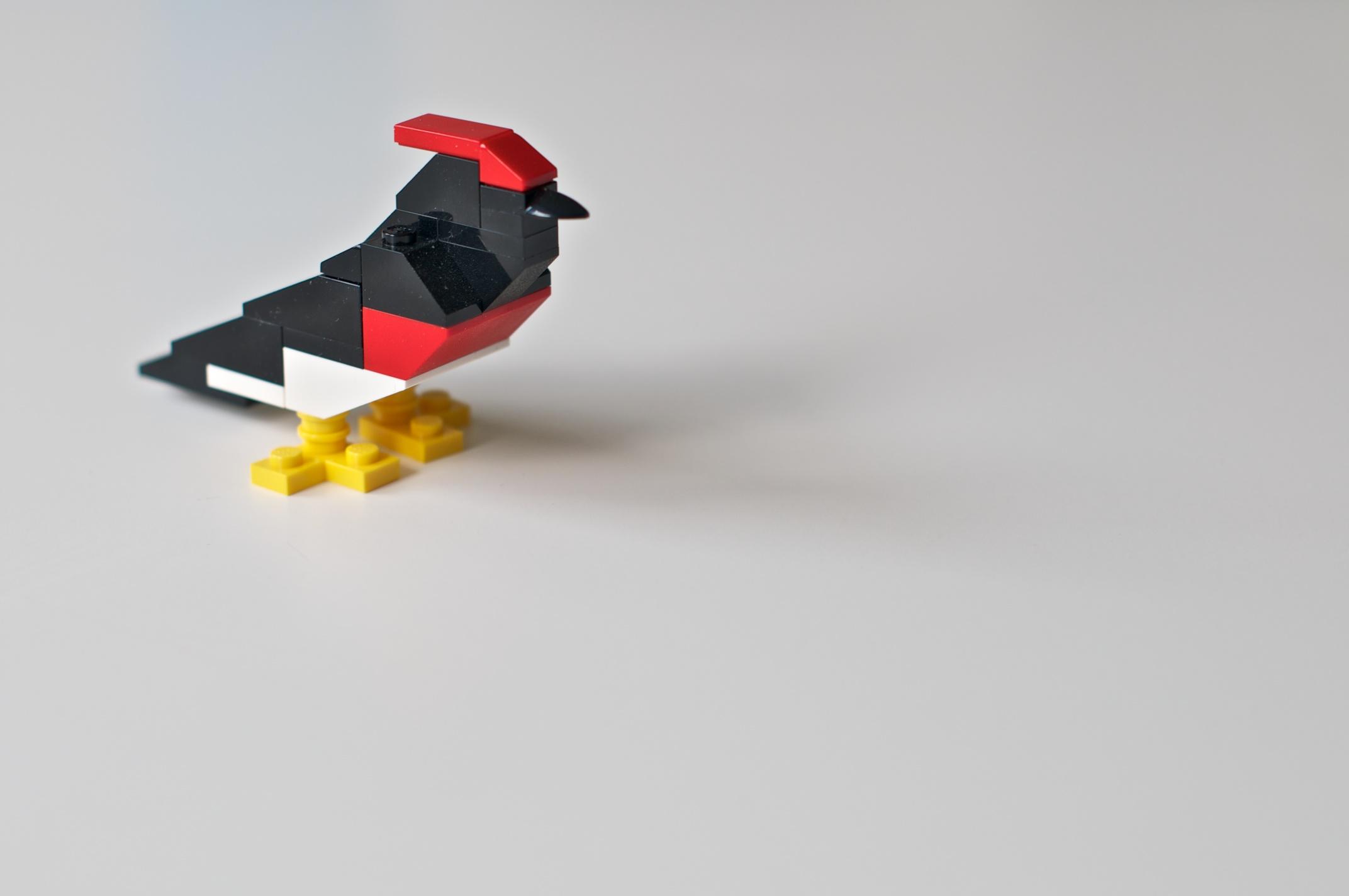 Copyright by Christoph Papenfuss
